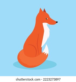 Red fox with fluffy tail