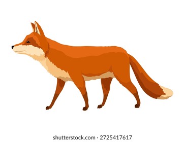 Rotfuchs. Lustiger Charakter, Raubtier im Wald. Cartoon Waldtier, Säugetier mit süßen Emotionen im Gesicht. Orangenfuchs, Wildtier, einzeln auf weißem Hintergrund