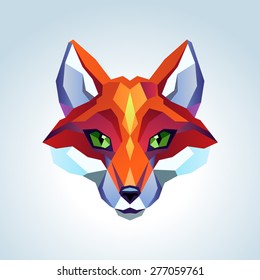 Red fox head