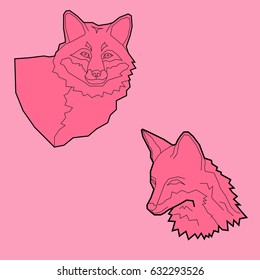 Red fox head