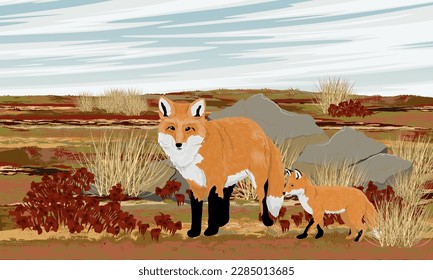 Ein roter Fuchs und ihr Würfel laufen in der Sommerarktis. Realistische Vektorlandschaft