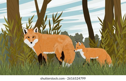 Red fox and her cub walking through the summer forest. Realistic vector landscape