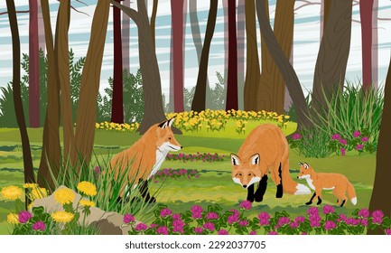 Red fox and her two cubs are walking through the summer forest with flowers and tall trees. wild animals in summer. Realistic vector landscape