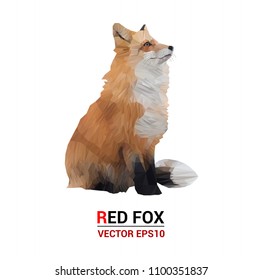 Red fox  illustration.  triangle low polygon style on  white color background