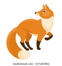 Red fox isolated on white background. Vector illustration