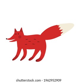 Red fox isolated on white background, vector illustration