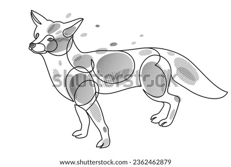 Red fox linear vector illustration isolated, cute wild animal wildlife adorable canine, monochrome artistic drawing.