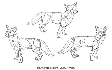 Red Fox Linear Vector Illustrations Set Stock Vector (Royalty Free ...