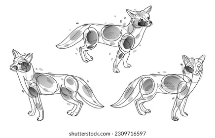 Red fox linear vector illustrations set isolated, cute wild animal wildlife adorable canine, monochrome artistic drawings.