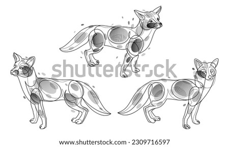 Red fox linear vector illustrations set isolated, cute wild animal wildlife adorable canine, monochrome artistic drawings.