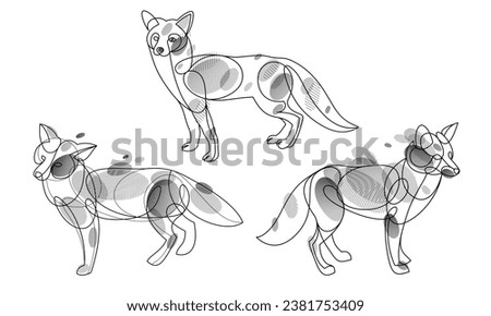 Red fox linear vector illustrations set isolated, cute wild animal wildlife adorable canine, monochrome artistic drawings.