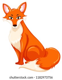 A red fox on white backgroud illustration