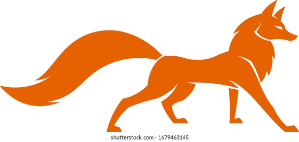 Red fox on a white background