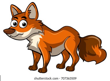 red fox on white background illustration