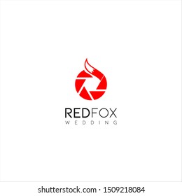red fox photography wolf logo design inspiration