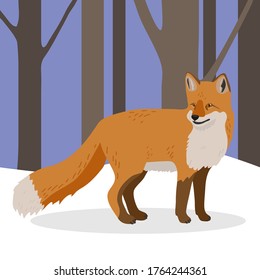 Red fox in a realistic style in the winter forest. The fox is walking in the forest. Winter scene.