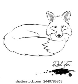 Red Fox, realistic wild animal sketch, line art vector illustration