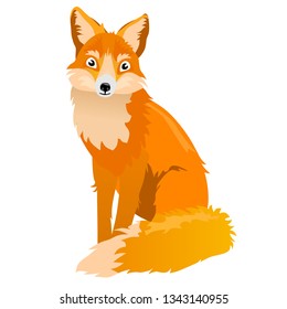 Red fox sitting forest beast