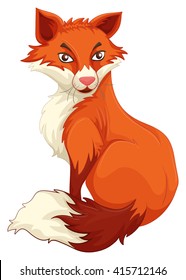 Red fox sitting white