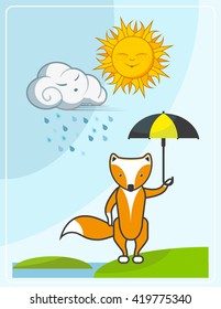 Red fox with an umbrella walks in the rain