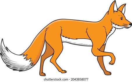 Red fox  vector illustration isolated on white background