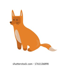 Red fox vector illustrations  Cute and funny fox in different poses: sitting, standing. Baby fox. Isolated on blue background. Stickers with animals fox