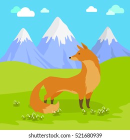 Red fox vulpes standing on the meadow in the mountains. Cute wild animal with flattened skull, upright triangular ears, pointed snout, and long bushy tail. Cartoon banner. Vector design illustration