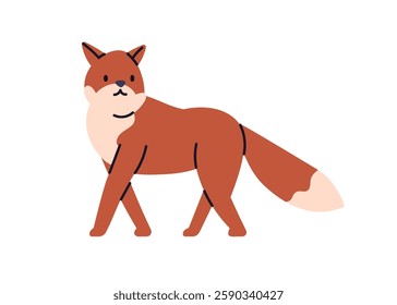 Red fox walking. Cute funny forest animal, cunning predator with furry tail. Foxy carnivore, wildlife, fauna. Wild wood mammal. Flat graphic vector illustration isolated on white background