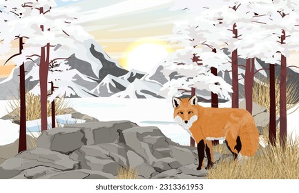 The red fox walks through a winter snowy mountain valley. Realistic vector landscape