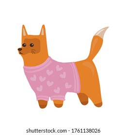 Red fox in warm clothes illustrations . Cute and funny fox in different poses: sitting, standing. Baby fox. Isolated on blue background. Stickers with animals fox. Animals in clothes.