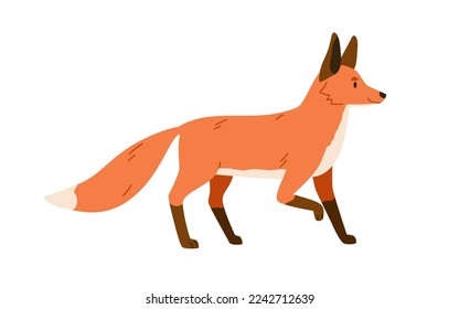 Rotfuchs, wildes Waldmämmchen. Foxy-Tier mit orangefarbenem Fell, flauschiger Schwanz. Scharfe Fleischfresser-Seitenansicht, Profil. Raubfisch aus Nordwäldern. farbige flache Vektorgrafik einzeln auf weißem Hintergrund