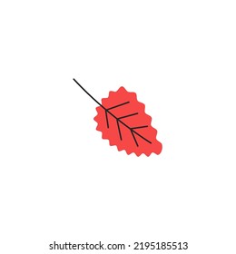 Red Fresh Autumn Leaf With Veins. Fall Aspen Foliage Season. Decorative Botanical Item. Simple Single Quaking Aspen Leaf Silhouette. Hand Drawn Flat Vector Illustration Isolated On White Background