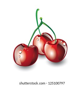 Red fresh cherries, isolated, EPS 10