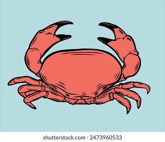 Red Fresh crab vector style 