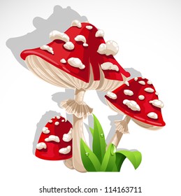 Red fresh Mushroom amanita in grass