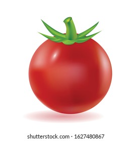 Red fresh tomato 3d vector on white background
