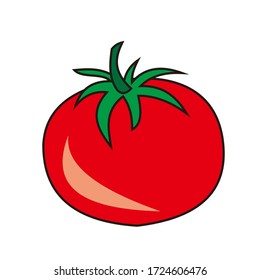 diseño de vectores de tomate fresco rojo. vegetales sanos