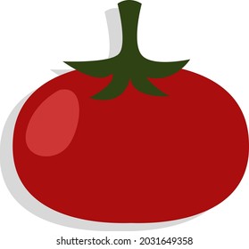 Red fresh tomato, illustration vector, on a white background.