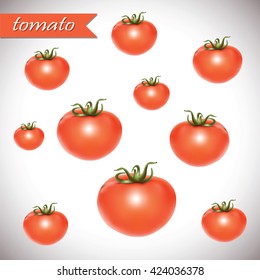Red fresh tomatoes isolated on white background. Vector illustration.