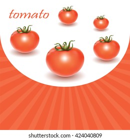Red fresh tomatoes isolated on white background. Vector illustration.
