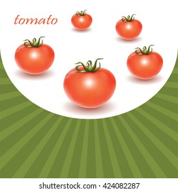 Red fresh tomatoes isolated on white background. Vector illustration.