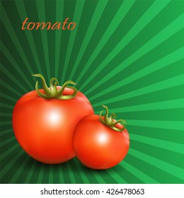 Red fresh tomatoes on green background. Vector illustration.