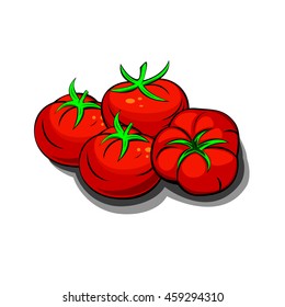 Red fresh tomatoes vector illustration 