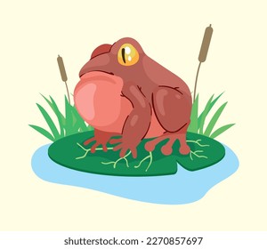 red frog amphibian in lake animal