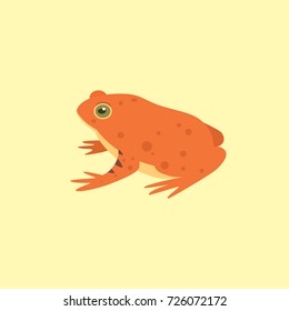 Red Frog Cartoon Vector Illustration isolated. tropical animal