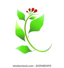red fruit plant without background