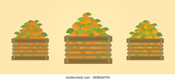 Red fruits of different shades are placed in boxes