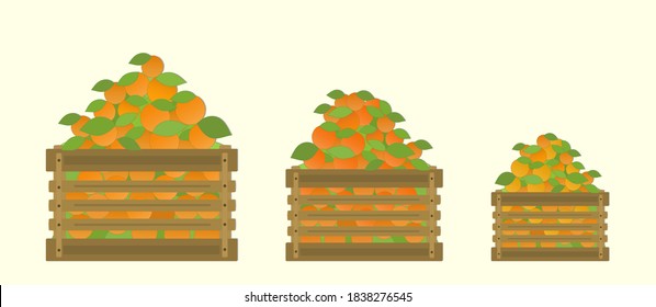 Red fruits of different shades are placed in boxes of different sizes 