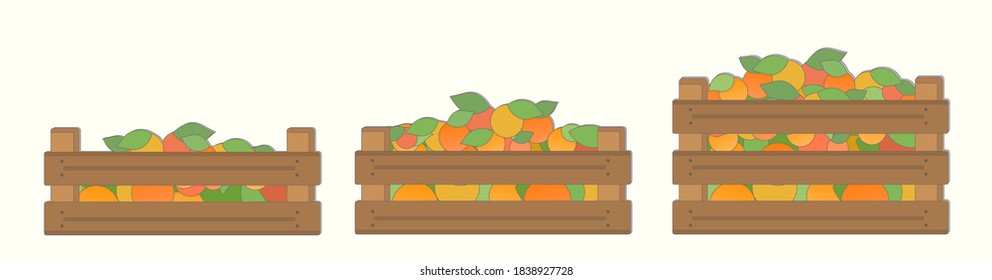 Red fruits are placed in boxes of different sizes on a light background