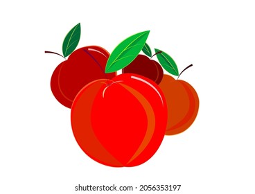 red fruits vector illustration flat design